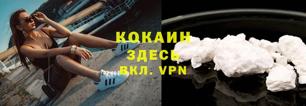 ГАЛЛЮЦИНОГЕННЫЕ ГРИБЫ Ельня