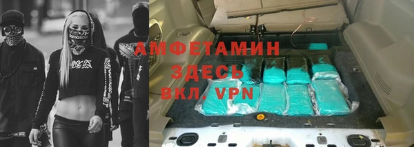 ГАЛЛЮЦИНОГЕННЫЕ ГРИБЫ Ельня