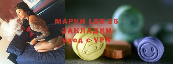 ГАЛЛЮЦИНОГЕННЫЕ ГРИБЫ Ельня
