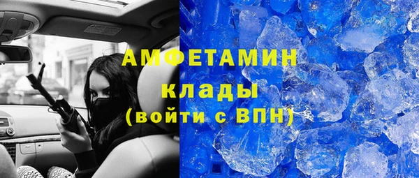 ГАЛЛЮЦИНОГЕННЫЕ ГРИБЫ Ельня