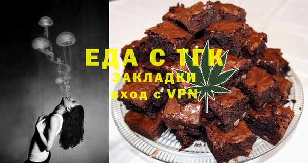 ГАЛЛЮЦИНОГЕННЫЕ ГРИБЫ Ельня