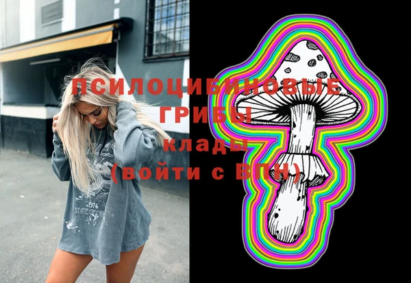 ГАЛЛЮЦИНОГЕННЫЕ ГРИБЫ Ельня