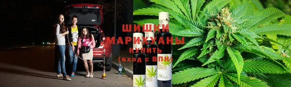 ГАЛЛЮЦИНОГЕННЫЕ ГРИБЫ Ельня