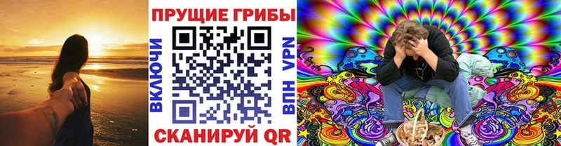 Псилоцибиновые грибы GOLDEN TEACHER Камень-на-Оби