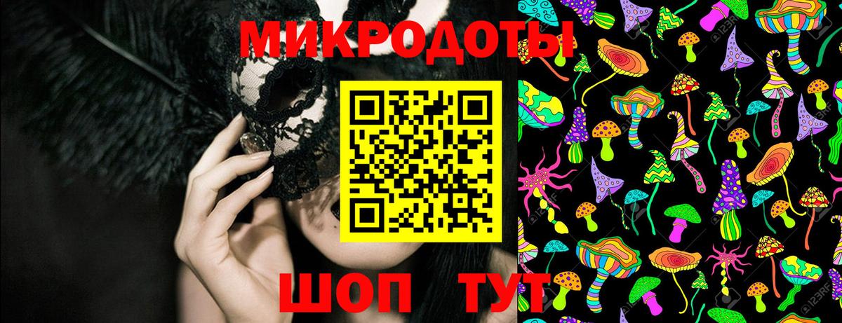 Камень-на-Оби  Псилоцибиновые грибы Psilocybine cubensis  Вход с VPN  Галлюциногенные грибы Psilocybe 