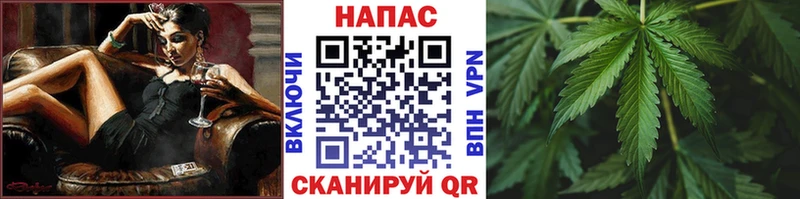 Каннабис сатива Камень-на-Оби